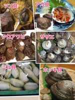 Set of 6 classic shellfish varieties