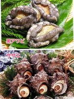 貝の王様!アワビとサザエのセット