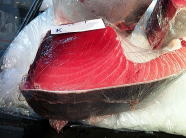 メバチマグロ(トロ) 300g
