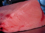 Swordfish 500g