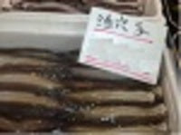 アナゴ開き