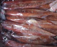 スルメイカ 1kg